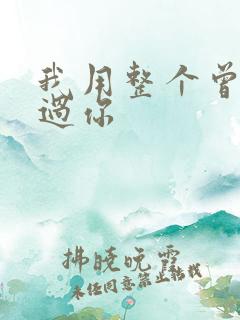 我用整个曾经爱过你