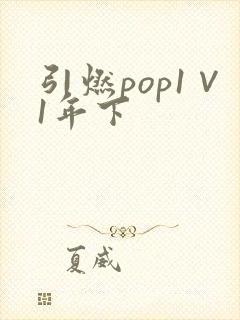引燃pop1∨1年下