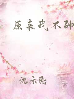 原来我不帅小说