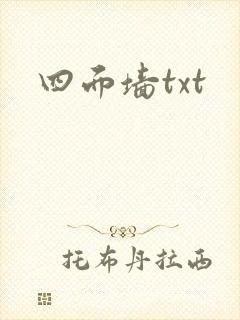 四面墙txt