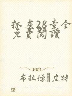 抓灰28章全部免费阅读