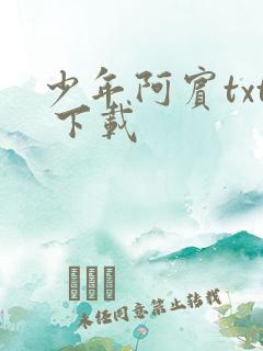 少年阿宾txt 下载