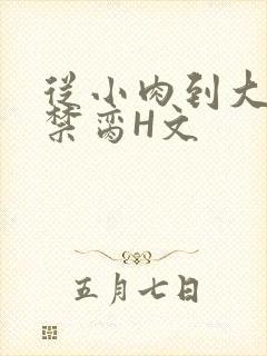 从小肉到大师傅禁脔H文