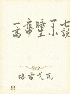 一夜睡了七个女高中生小说h