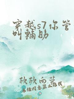 穿越s7你管这叫辅助