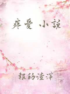 疼爱 小说