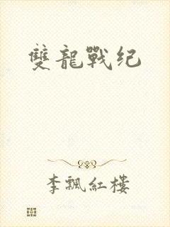 双龙战纪