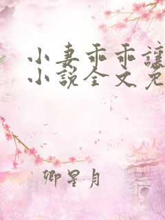 小妻乖乖让我宠小说全文免费阅读