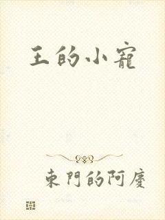 王的小宠
