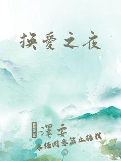 换爱之夜