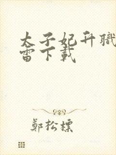 太子妃升职记迅雷下载