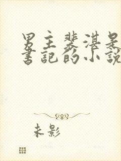 男主裴湛是省委书记的小说