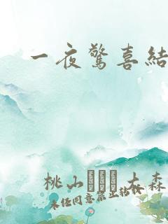 一夜惊喜结局