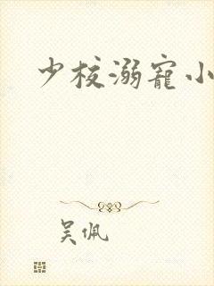 少校溺宠小小妻