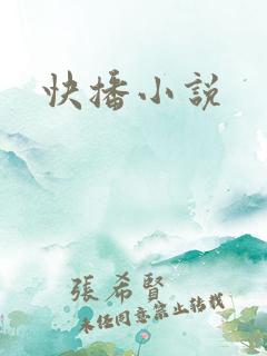 快播小说