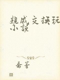 亲戚交换玩美妇小说