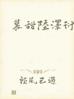 慕甜陆泽衍小说