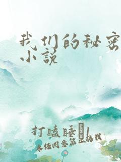 我们的秘密泰剧小说