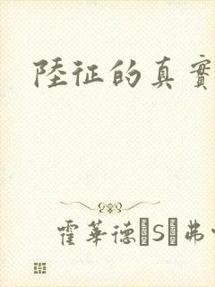 陆征的真实身份