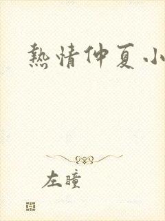 热情仲夏小说
