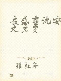 夜盛霆沈安然全文免费