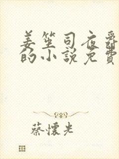 姜笙司夜爵顾念的小说免费阅读