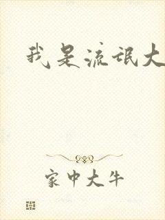 我是流氓大律师