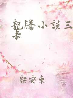 龙腾小说三宝局长
