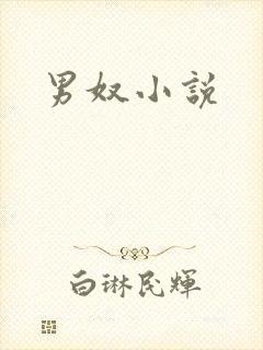 男奴小说