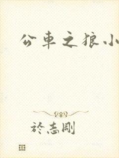 公车之狼小说