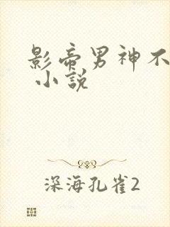 影帝男神不节制 小说