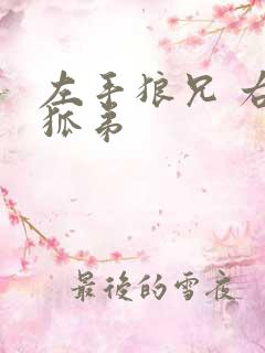 左手狼兄 右手狐弟