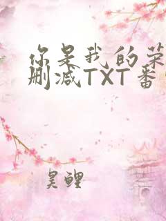 你是我的荣耀未删减TXT番外