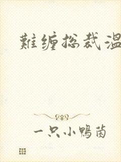 难缠总裁温柔爱