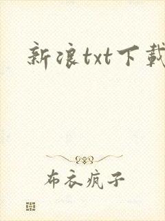 新浪txt下载