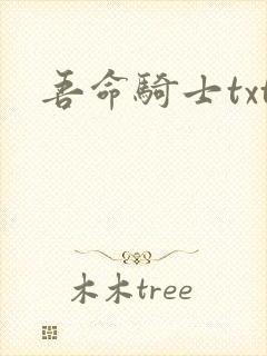 吾命骑士txt