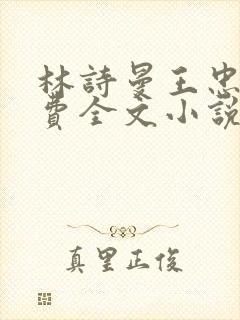 林诗曼王忠文免费全文小说的名称