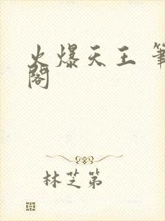 火爆天王 笔趣阁