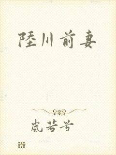 陆川前妻