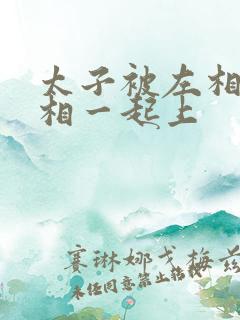 太子被左相和右相一起上