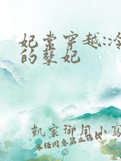 妃常穿越:冷王的孽妃