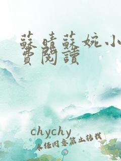 苏晴苏婉小说免费阅读