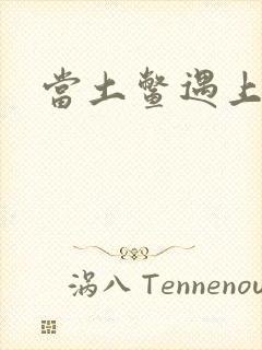 当土鳖遇上海龟