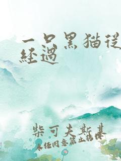 一只黑猫从眼前经过