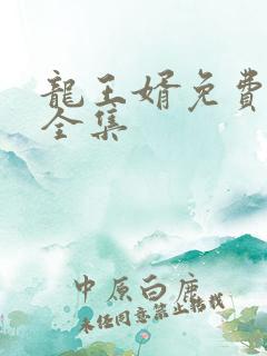 龙王婿免费完结全集