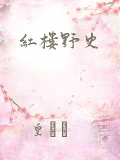 红楼野史