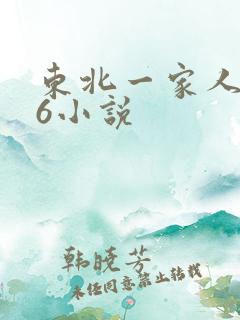 东北一家人1一6小说