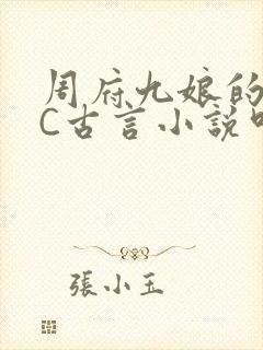 周府九娘的NPC古言小说叫什么