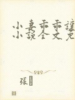 小妻乖乖让我宠小说全文免费阅读