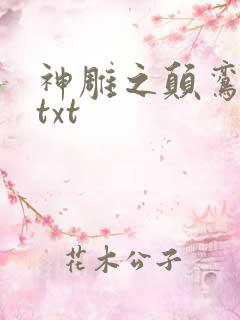 神雕之颠鸾倒凤txt